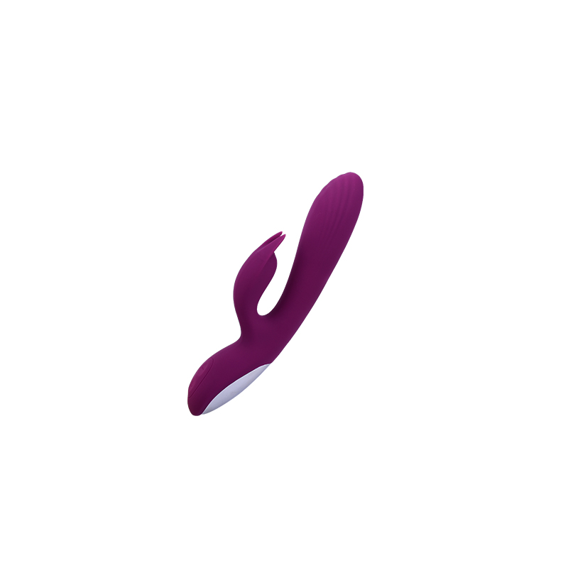 CDX-197 Rabbit Vibrator For Woman 10 Modes Vibration