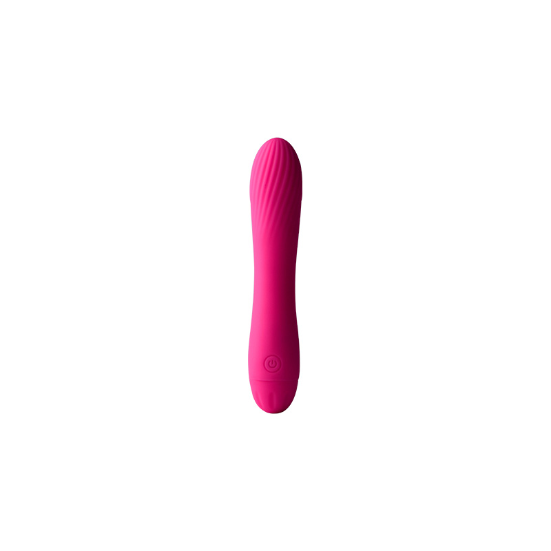 CDX-230 Bullet Mini Vibrator